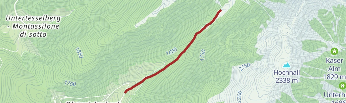 Hiking to the Lercher Alp Hut